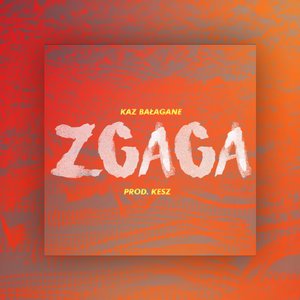 Zgaga