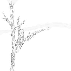 Avatar for Ode To Doda