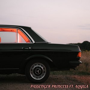 Passenger Princess (Remix) - Single