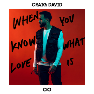 Craig David - When You Know What Love Is - Single - Zortam Music