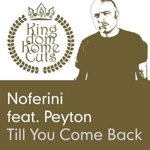 Till You Come Back