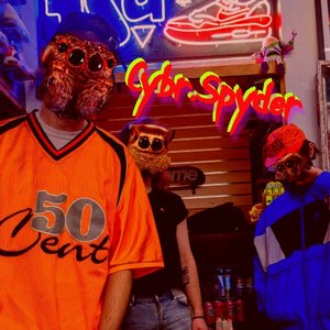 Cybr.Spyder 的头像