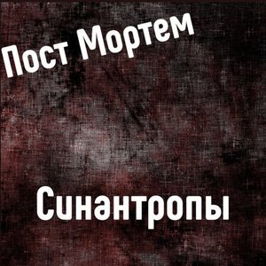 Синантропы