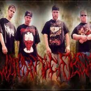 within the flesh 的头像