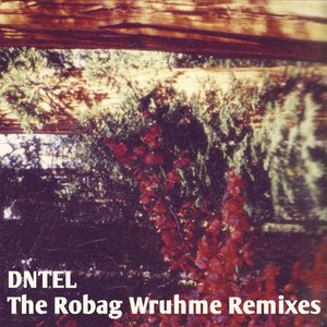 The Robag Wruhme Remixes