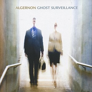 Ghost Surveillance