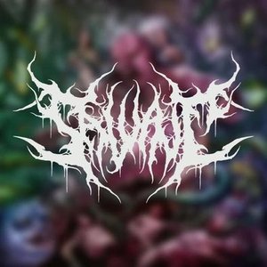 “Salvaje”的封面