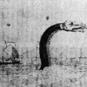 Serpent's Isle 的头像