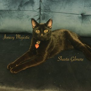 Jonesy Majestic