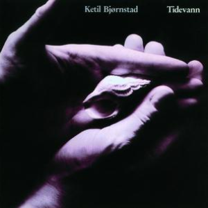 Tidevann cover