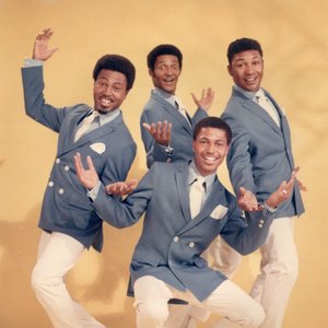 Chubby & The Turnpikes 的头像
