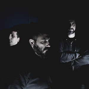 Avatar for Agnes Vein