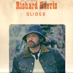 Slides