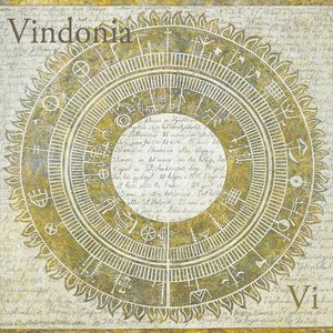Vi