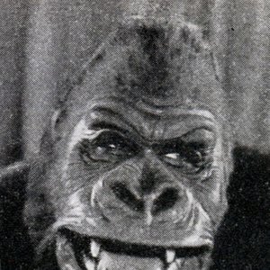Аватар для Getúlio, The Old Gorilla