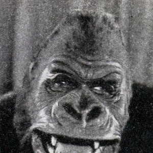Getúlio, The Old Gorilla 的头像
