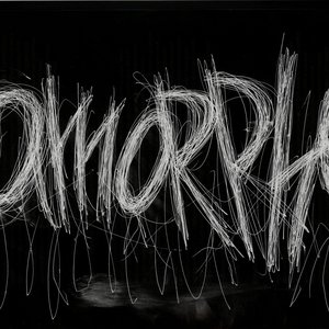Amorphe 的头像