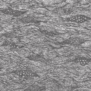 BLACKHAWK - II - Zortam Music