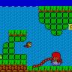 Alex Kidd in Miracle World 的头像