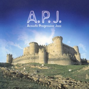A.P.J. Acoustic Progressive Jazz