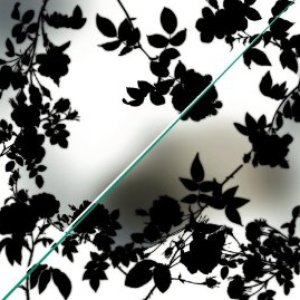紫陽花 / 螺旋階段