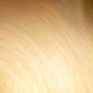 Dreaming of a Better World