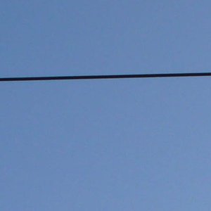 Lamana