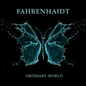 Ordinary World