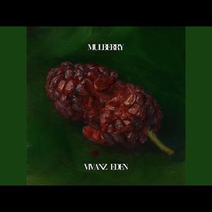 MULBERRY