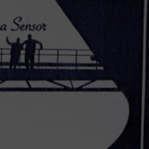 Avatar für Melodinamika Sensor