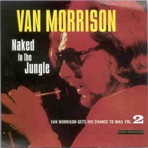 Naked in the Jungle: Van Morrison Gets His Chance to Wail, Vol. 2