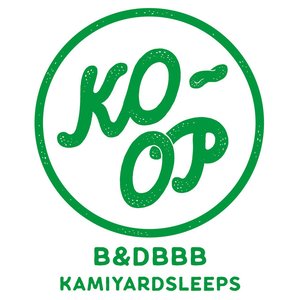 Kamiyardsleeps