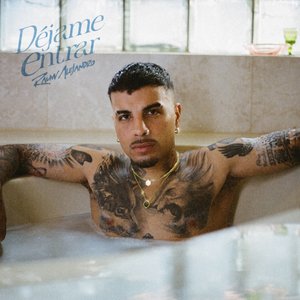 Déjame Entrar - Single