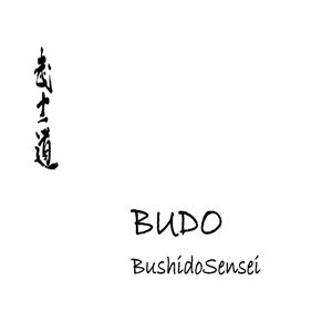 BUDO