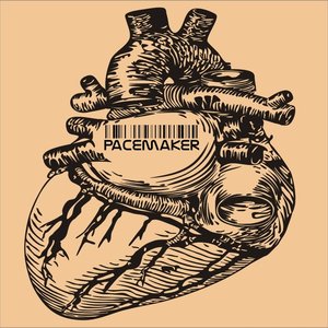 Plastic Heart
