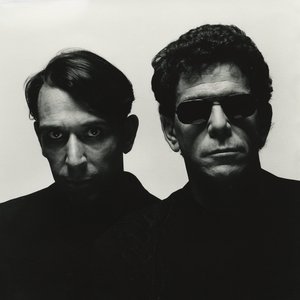 Lou Reed & John Cale 的头像
