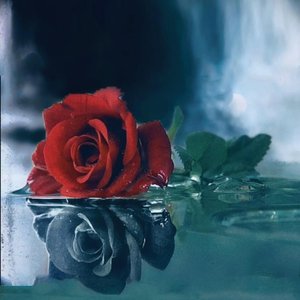 Defects - Single