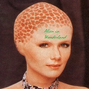 Alien in Wonderland 的头像