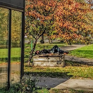 неповторний творчий доробок