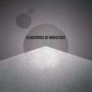 Albatross Of Moisture 的头像