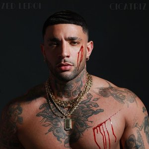 Cicatriz