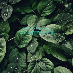 Let Go (Meditation)