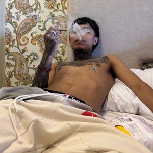 26is 的头像