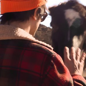 Avatar de Deep Dreem