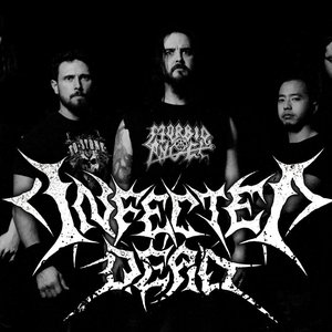Infected Dead 的头像
