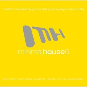 Minimal House 5