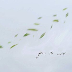 you, the wind