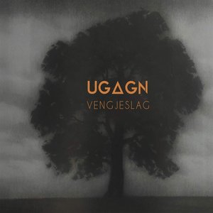 Vengjeslag