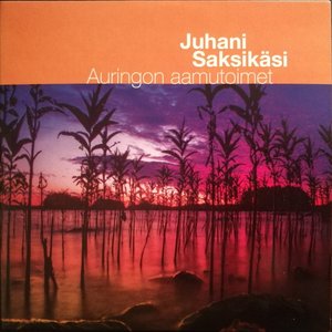 Auringon aamutoimet
