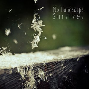 Аватар для No Landscape Survives